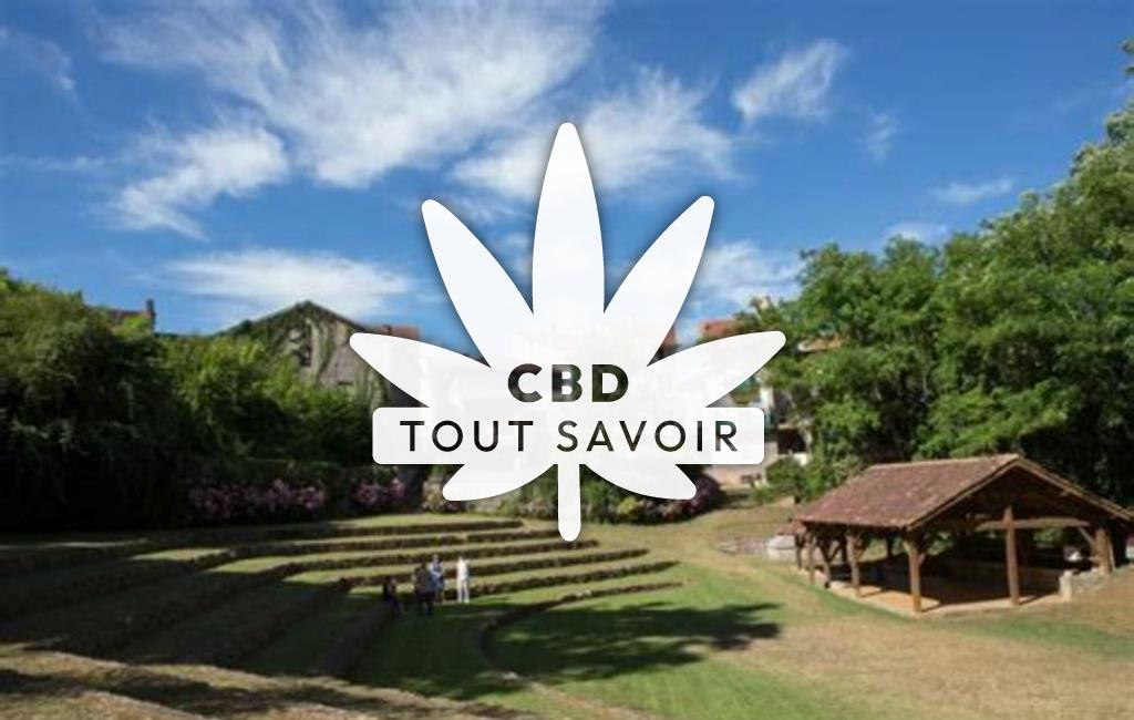 Village à Villeneuve-de-Marsan avec feuille Cannabis CBD