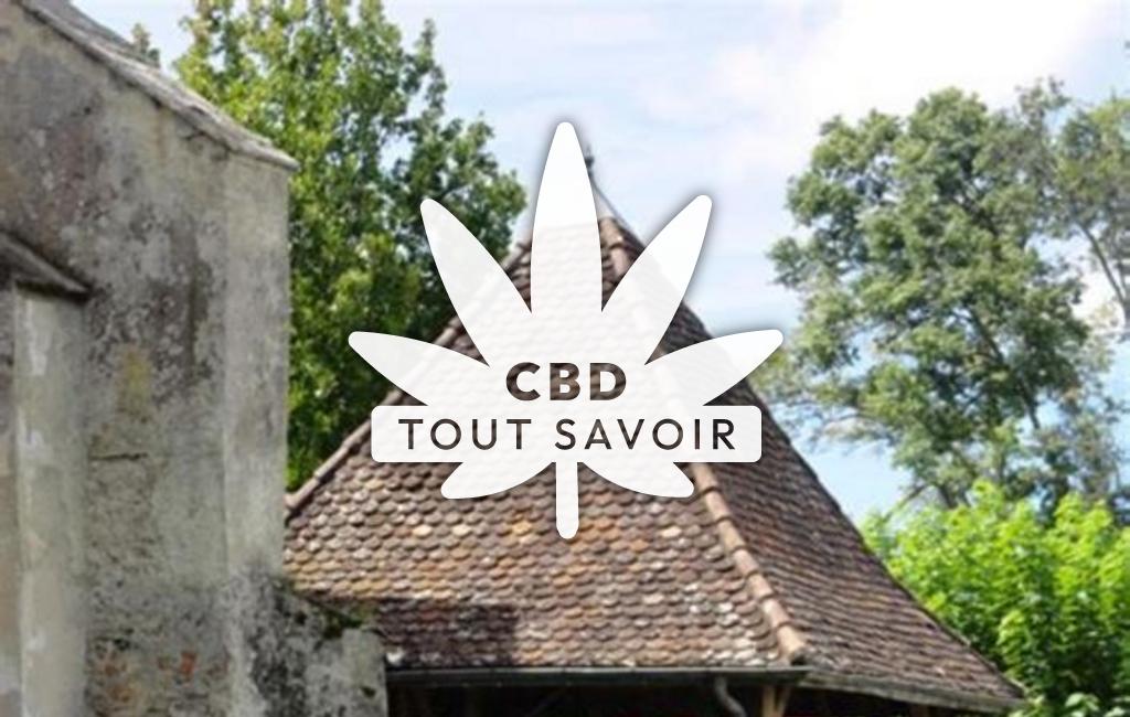 Village à Saint-Paul-en-Born avec feuille Cannabis CBD