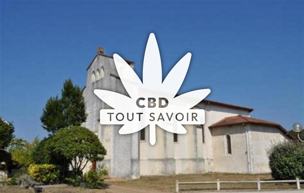 Village à Sainte-Eulalie-en-Born avec feuille Cannabis CBD