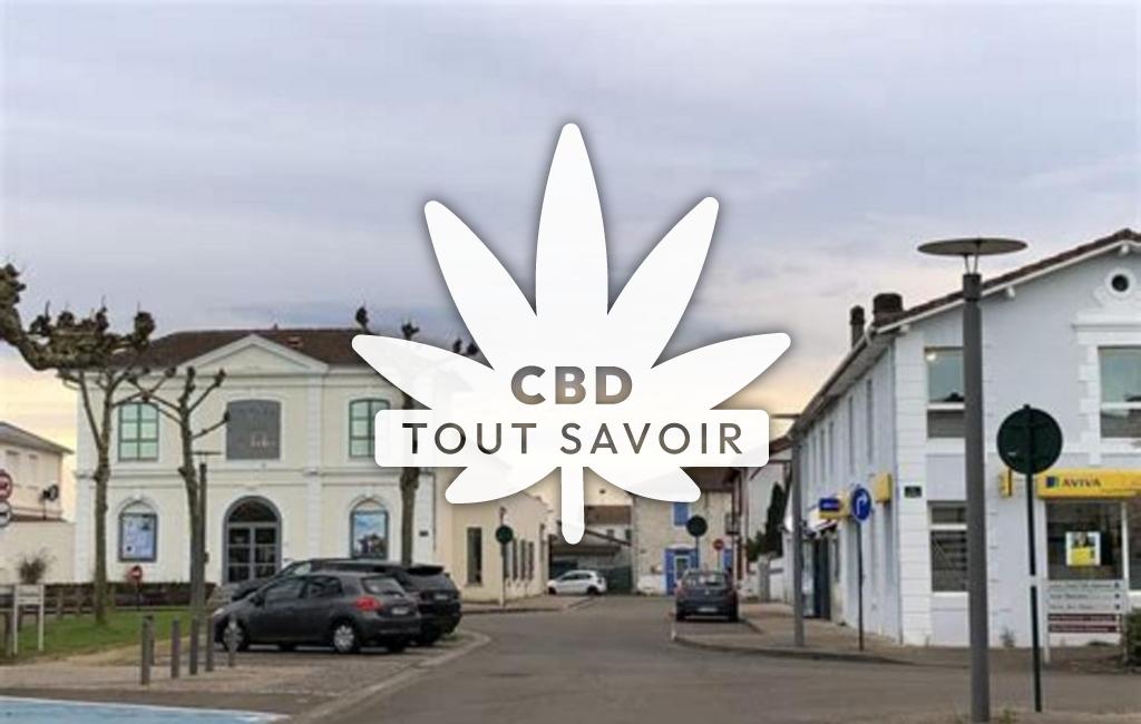 Village à Labouheyre avec feuille Cannabis CBD