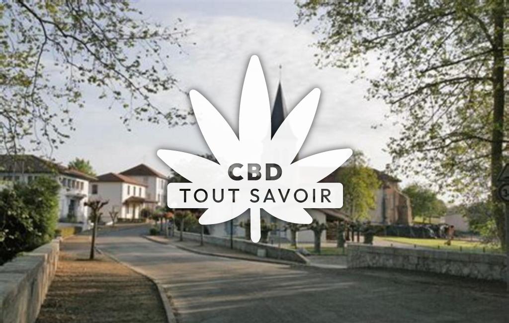 Village à Josse avec feuille Cannabis CBD