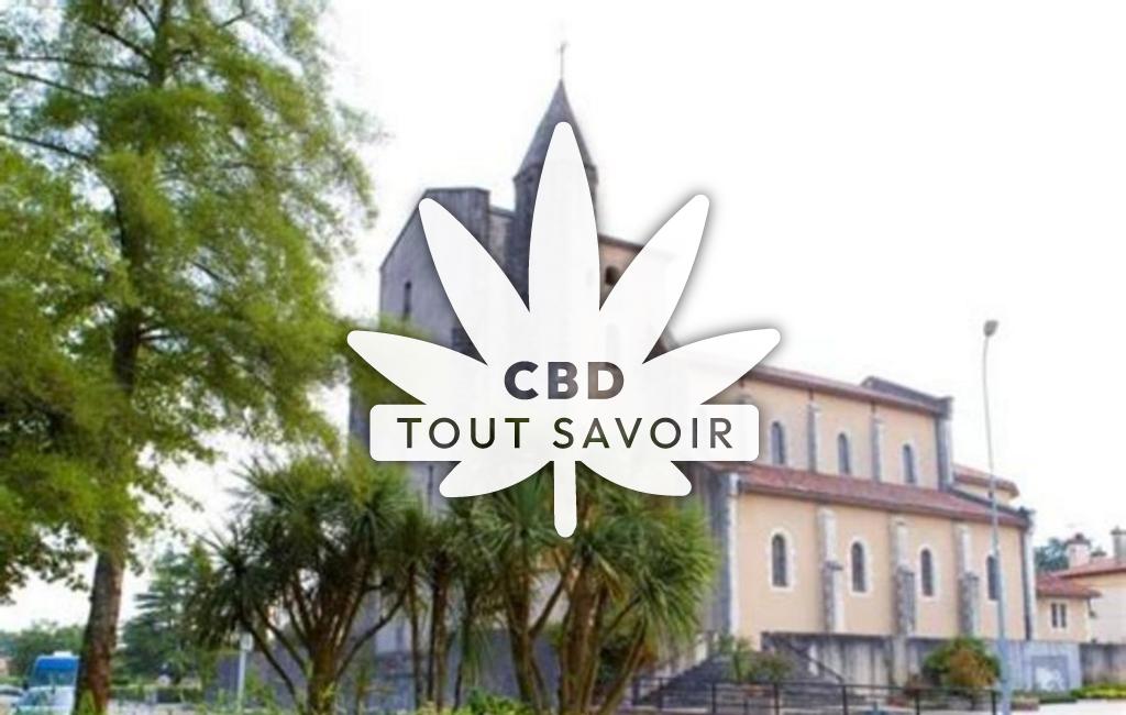 Village à Saint-Geours-de-Maremne avec feuille Cannabis CBD