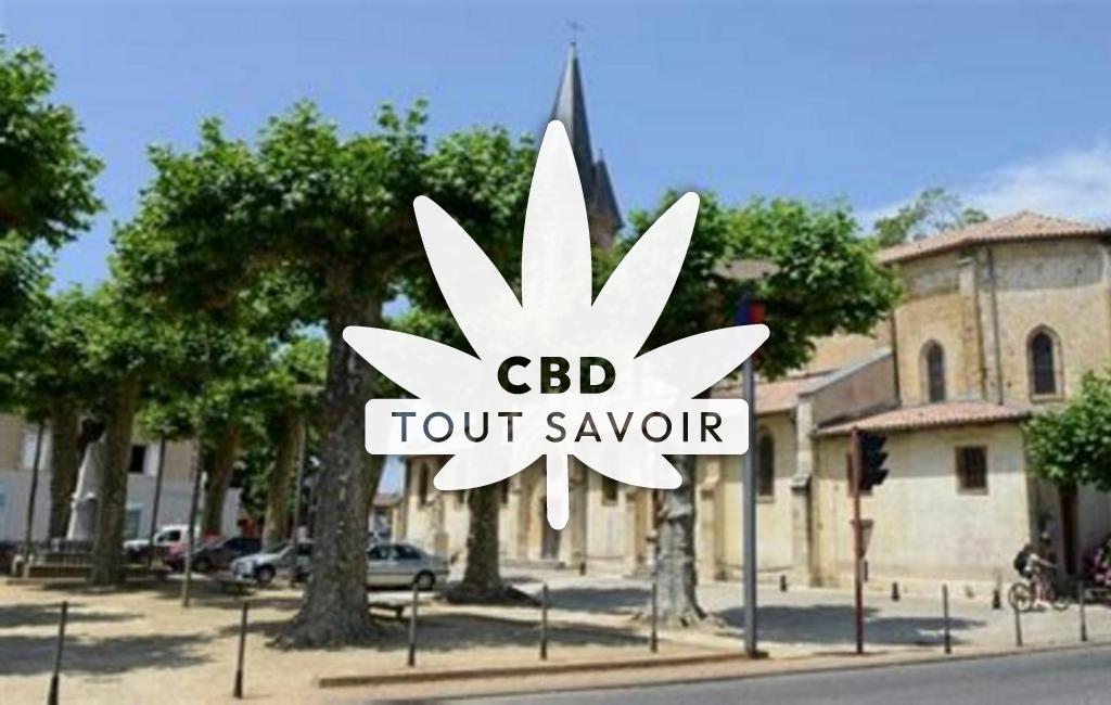 Village à Saint-Vincent-de-Tyrosse avec feuille Cannabis CBD