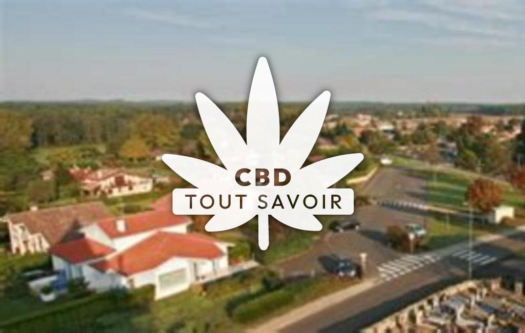 Village à Saubion avec feuille Cannabis CBD