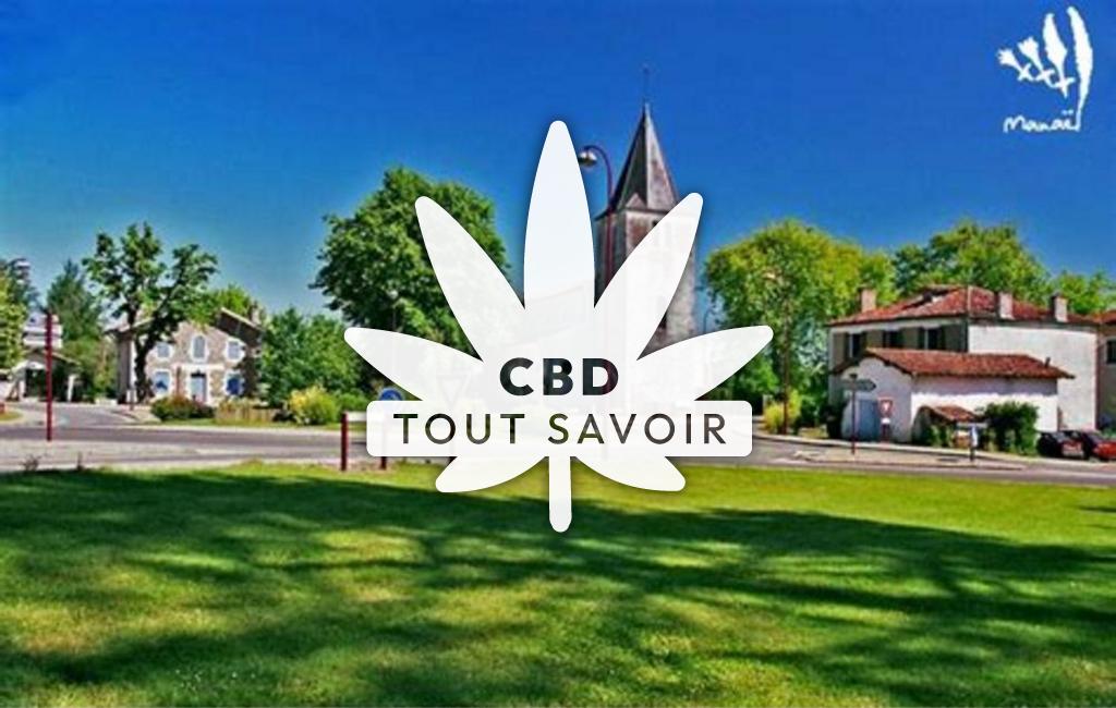 Village à Losse avec feuille Cannabis CBD