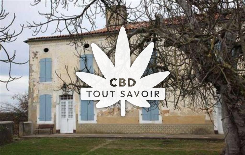 Village à Bergouey avec feuille Cannabis CBD