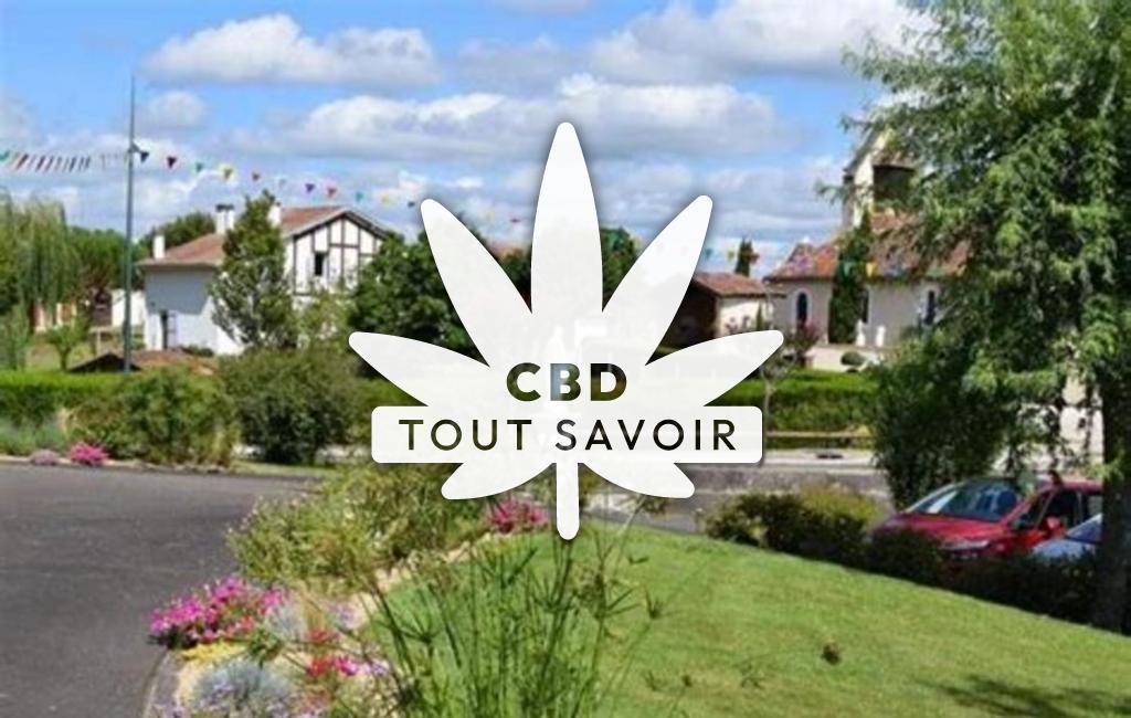 Village à Le-Leuy avec feuille Cannabis CBD