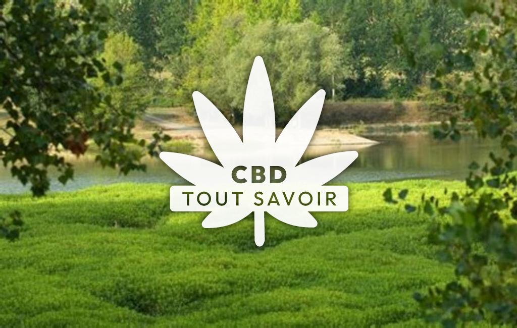 Village à Nerbis avec feuille Cannabis CBD