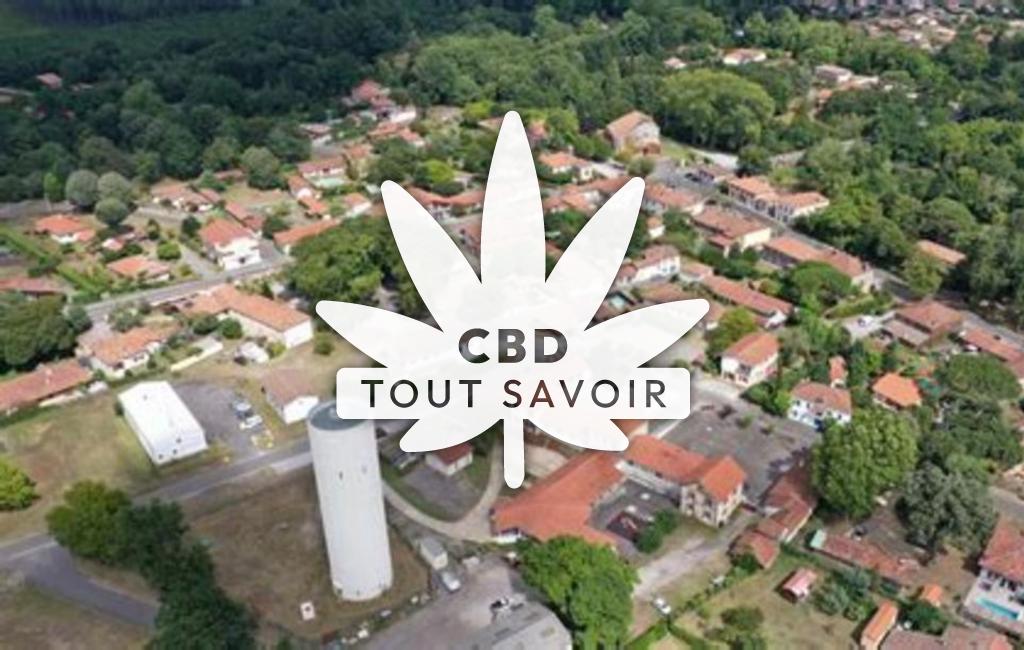 Village à Linxe avec feuille Cannabis CBD