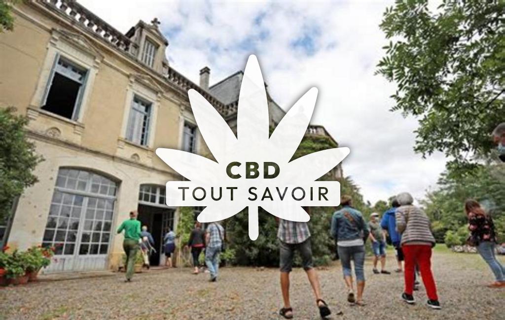 Village à Castandet avec feuille Cannabis CBD