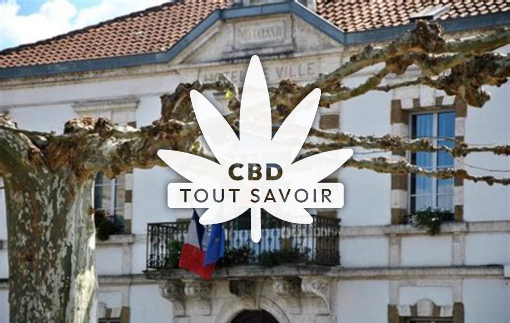 Village à Grenade-sur-l'Adour avec feuille Cannabis CBD