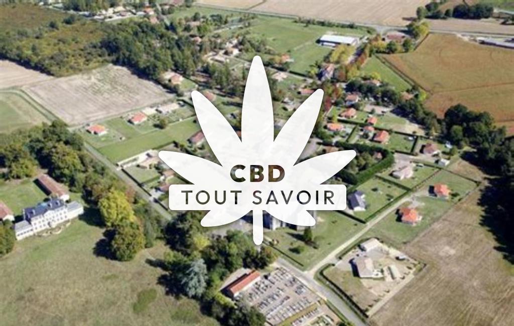 Village à Le-Vignau avec feuille Cannabis CBD