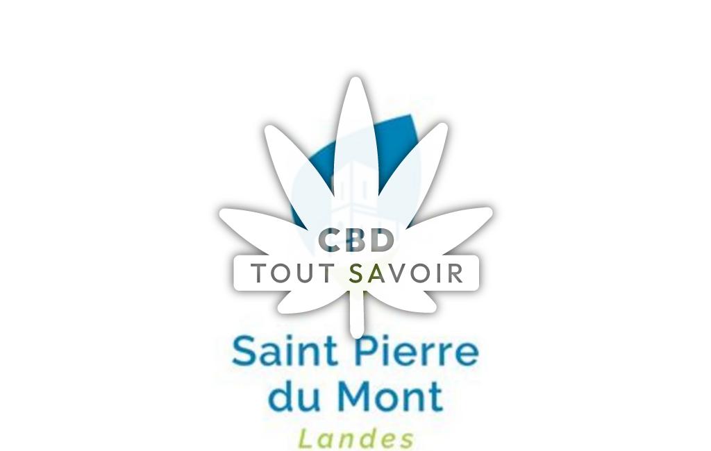Village à Saint-Pierre-du-Mont avec feuille Cannabis CBD