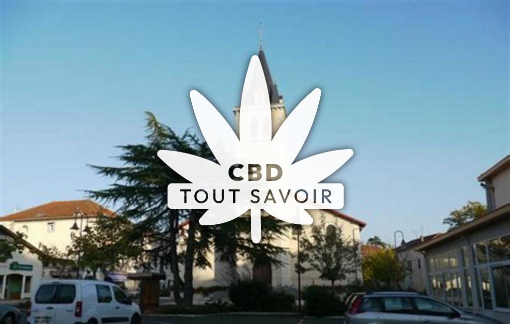 Village à Habas avec feuille Cannabis CBD