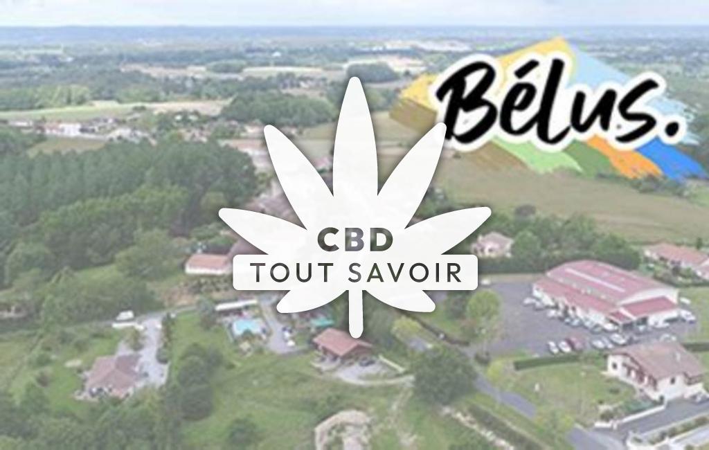 Village à Belus avec feuille Cannabis CBD
