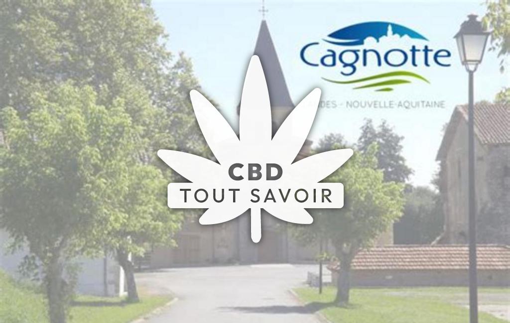 Village à Cagnotte avec feuille Cannabis CBD