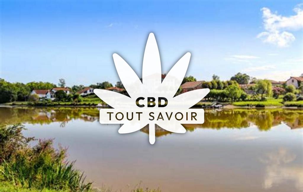Village à Port-de-Lanne avec feuille Cannabis CBD