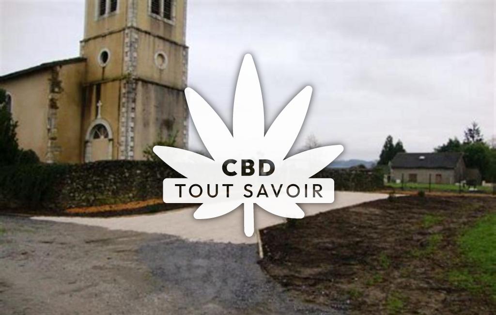 Village à Saint-Cricq-du-Gave avec feuille Cannabis CBD