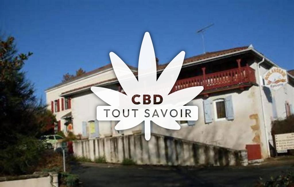 Village à Saint-Lon-les-Mines avec feuille Cannabis CBD