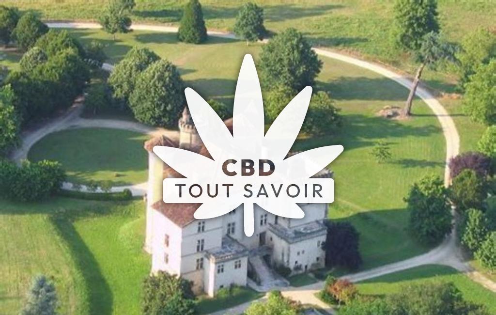 Village à Parleboscq avec feuille Cannabis CBD