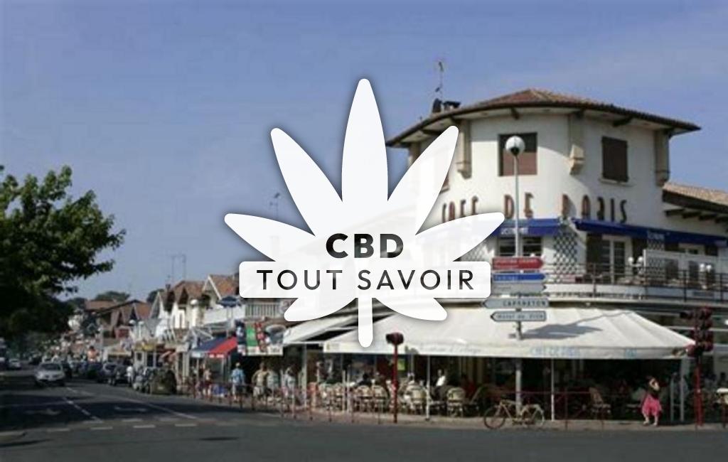 Village à Buanes avec feuille Cannabis CBD