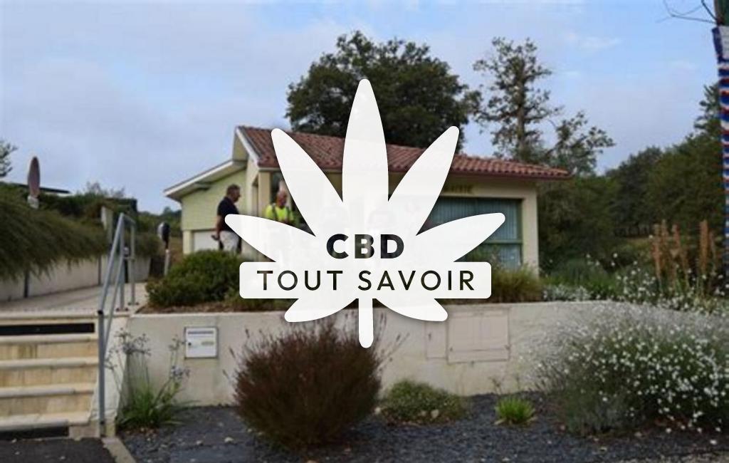 Village à Classun avec feuille Cannabis CBD