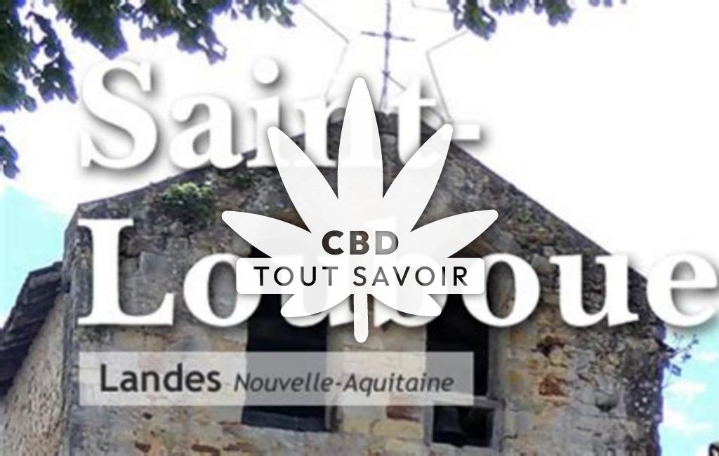 Village à Saint-Loubouer avec feuille Cannabis CBD