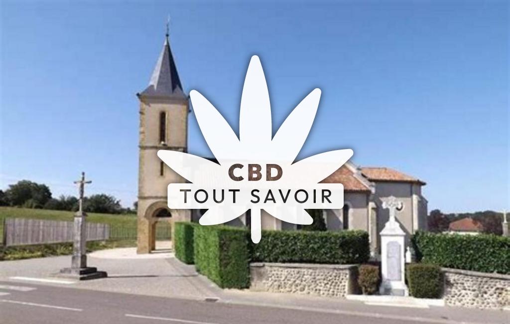 Village à Sorbets avec feuille Cannabis CBD