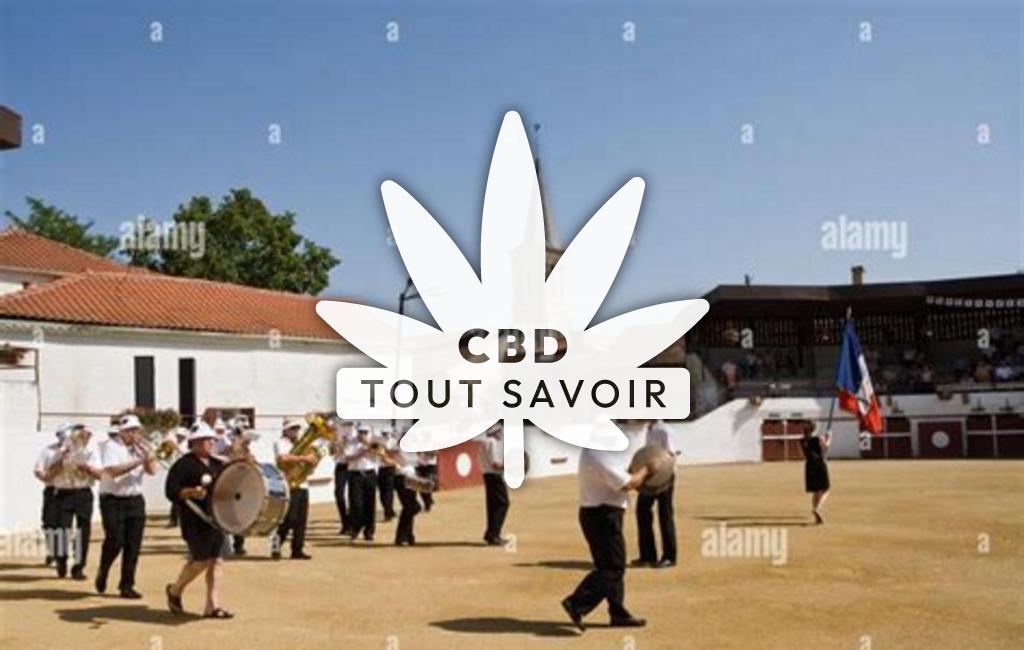 Village à Vielle-Tursan avec feuille Cannabis CBD