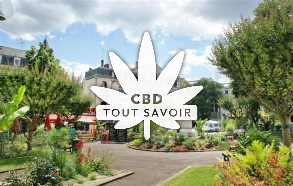 Village à CaSaintelnau-Chalosse avec feuille Cannabis CBD