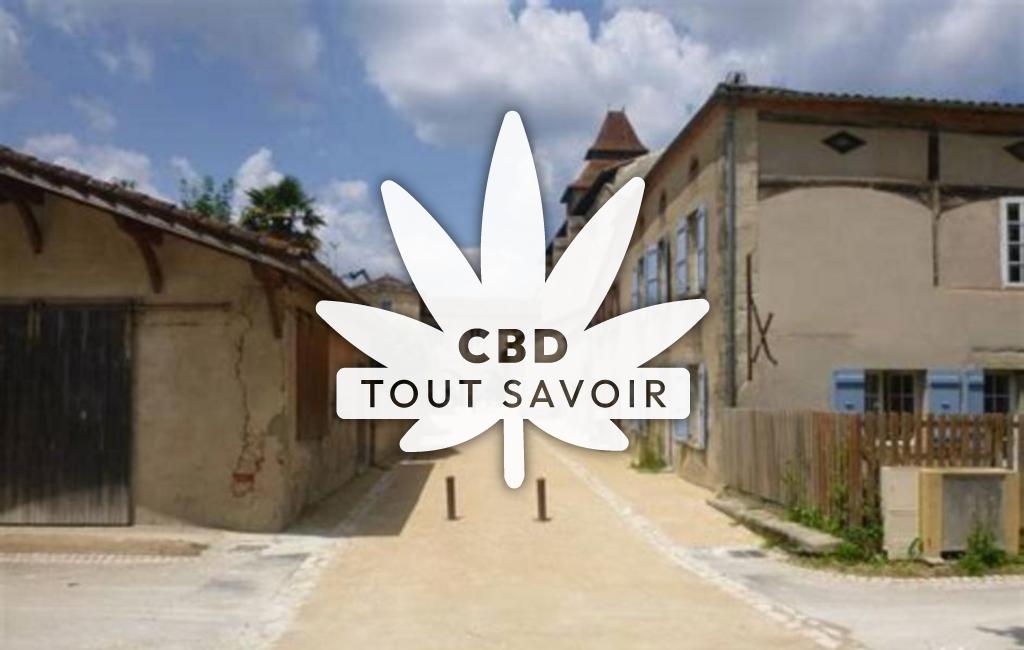 Village à Louer avec feuille Cannabis CBD