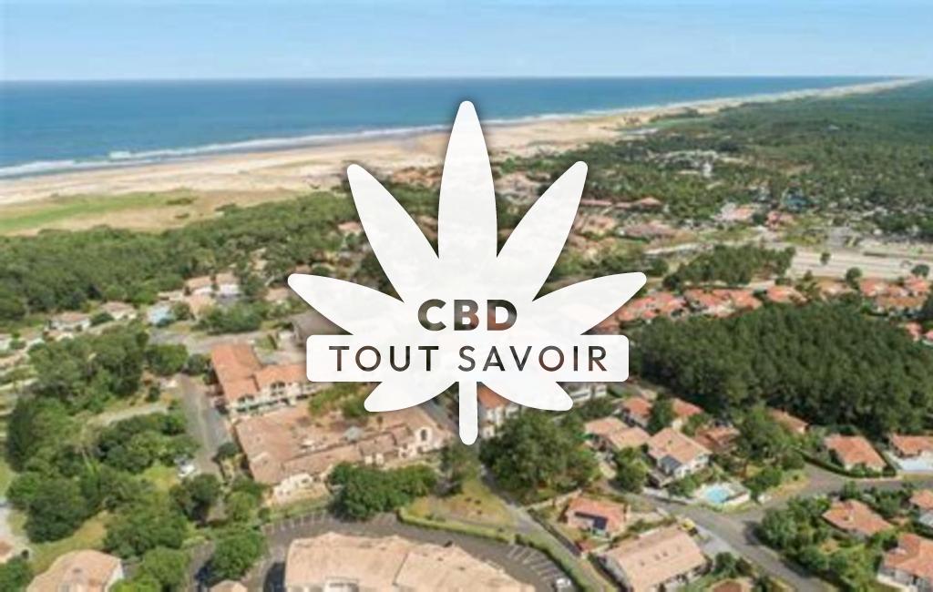Village à Nousse avec feuille Cannabis CBD