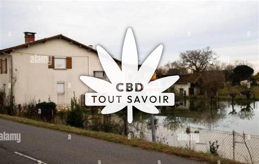 Village à Onard avec feuille Cannabis CBD