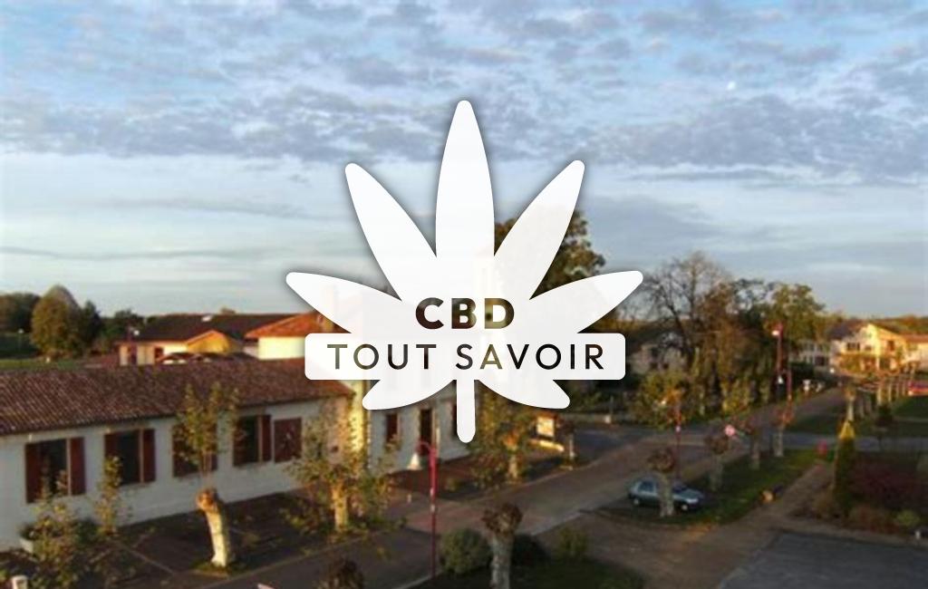 Village à Saint-Geours-D'Auribat avec feuille Cannabis CBD