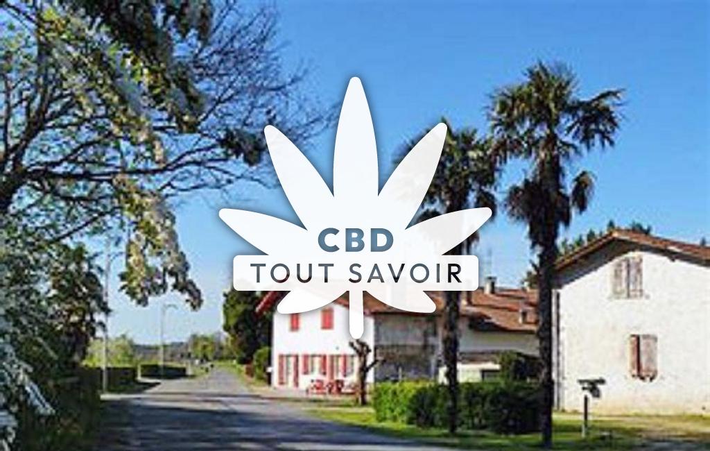 Village à Biarrotte avec feuille Cannabis CBD