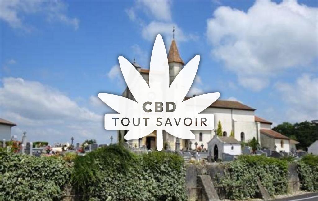 Village à Saint-Andre-de-Seignanx avec feuille Cannabis CBD