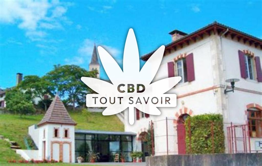 Village à Saint-Barthelemy avec feuille Cannabis CBD