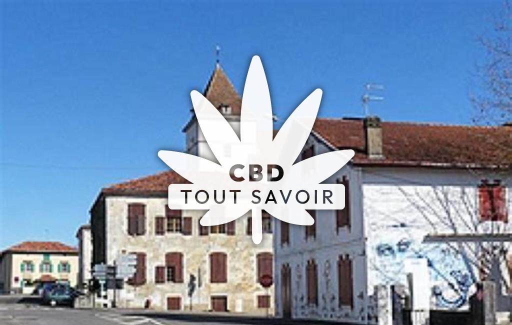 Village à Saint-Martin-de-Seignanx avec feuille Cannabis CBD