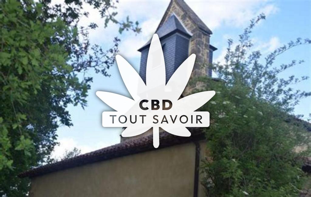 Village à Carcares-Sainte-Croix avec feuille Cannabis CBD