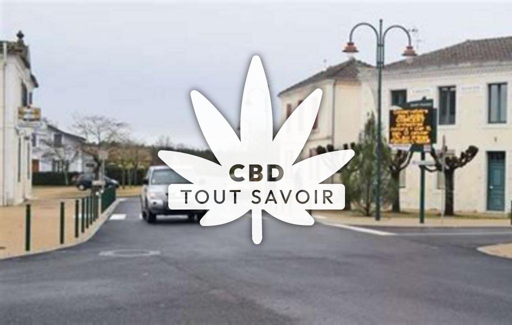 Village à Saint-Yaguen avec feuille Cannabis CBD