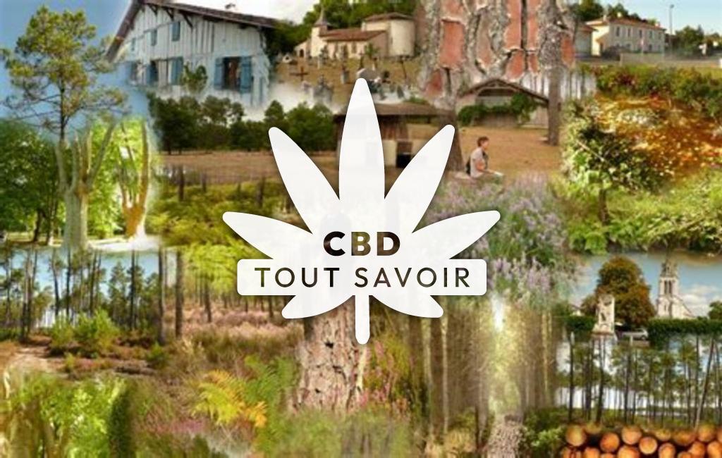 Village à Pissos avec feuille Cannabis CBD