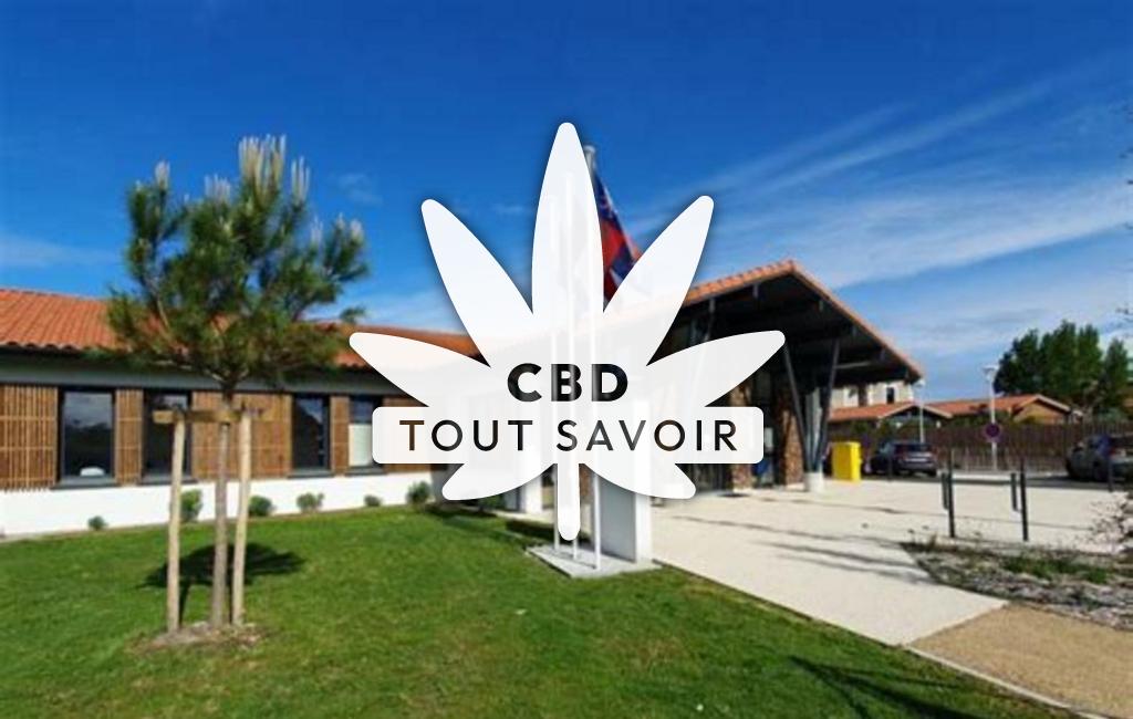 Village à Saugnac-Et-Muret avec feuille Cannabis CBD
