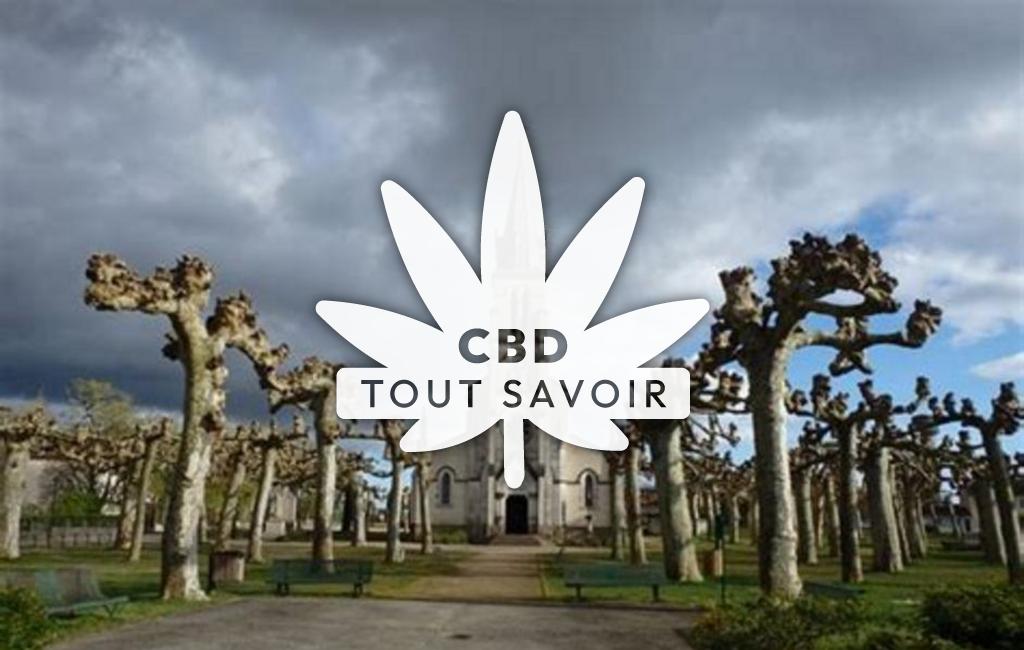 Village à Labrit avec feuille Cannabis CBD