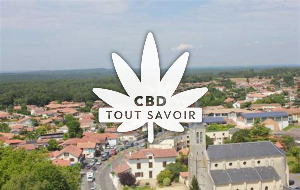 Village à Ondres avec feuille Cannabis CBD
