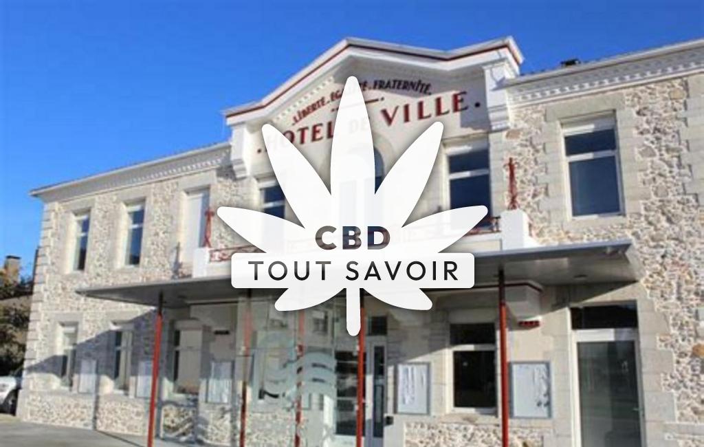 Village à Pontonx-sur-l'Adour avec feuille Cannabis CBD