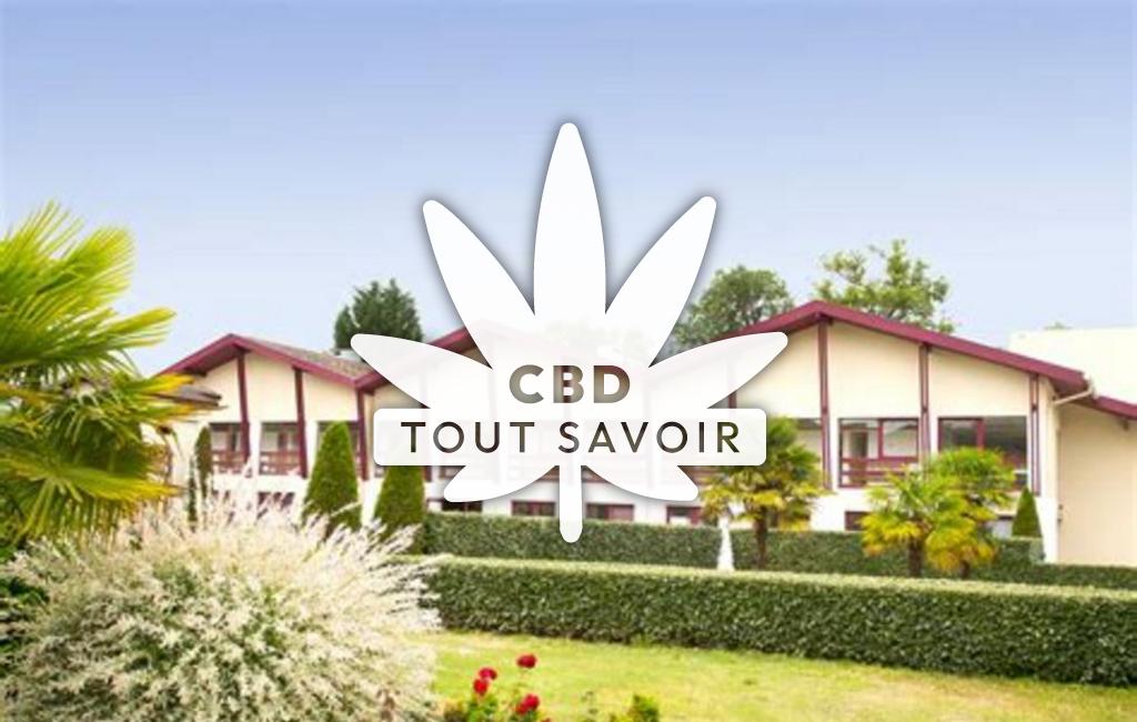 Village à Prechacq-les-Bains avec feuille Cannabis CBD