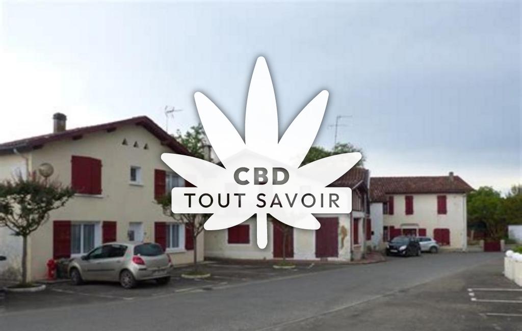 Village à Montgaillard avec feuille Cannabis CBD