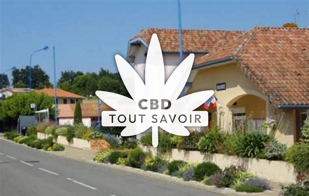 Village à Montsoue avec feuille Cannabis CBD