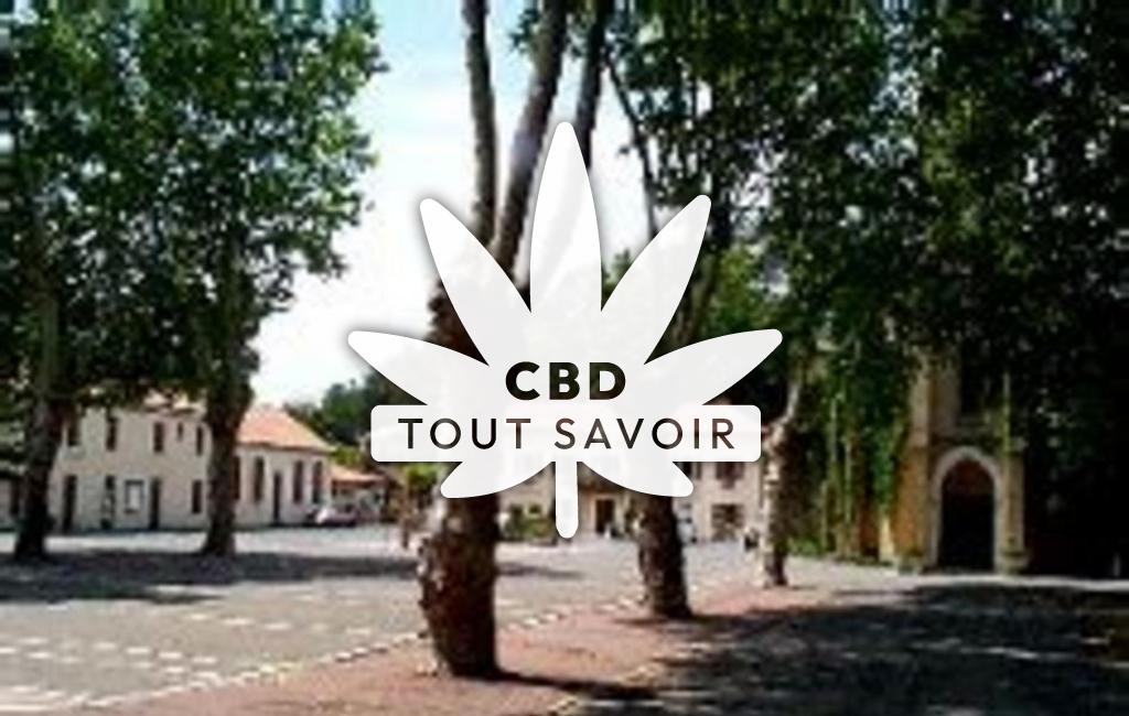 Village à Labenne avec feuille Cannabis CBD