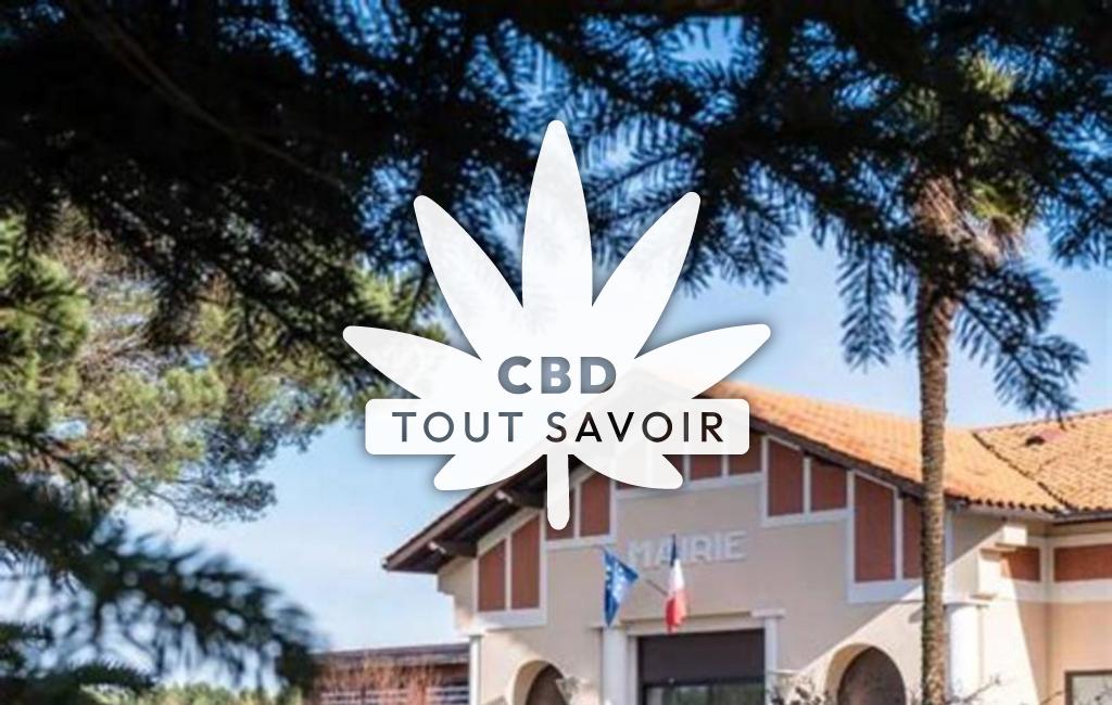 Village à Saint-Michel-Escalus avec feuille Cannabis CBD